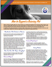 How to Support a Grieving Pet