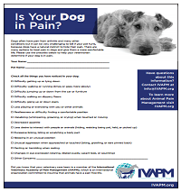 IVAPM_2020-Is-Your-Dog-in-Pain-Handout