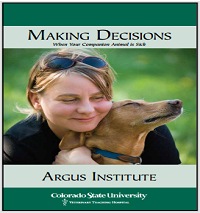 making-decisions for your pet