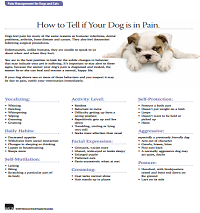 pain management dogs